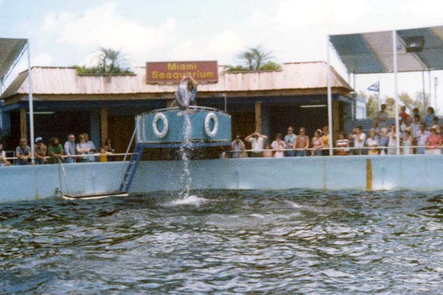 1970s - the Miami Seaquarium