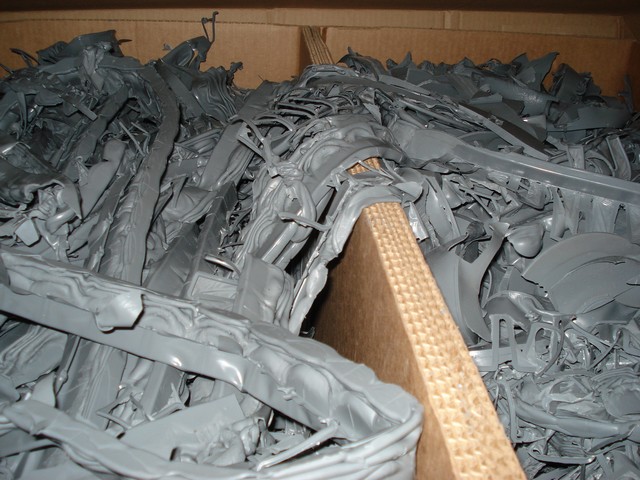 DSC01782.jpg