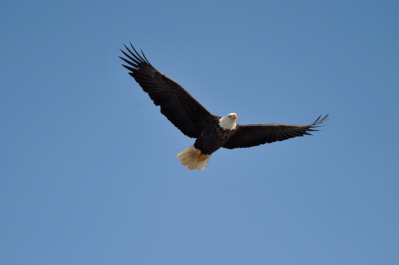 DSC_6021.jpg
