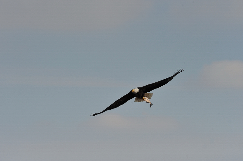 DSC_6065.jpg