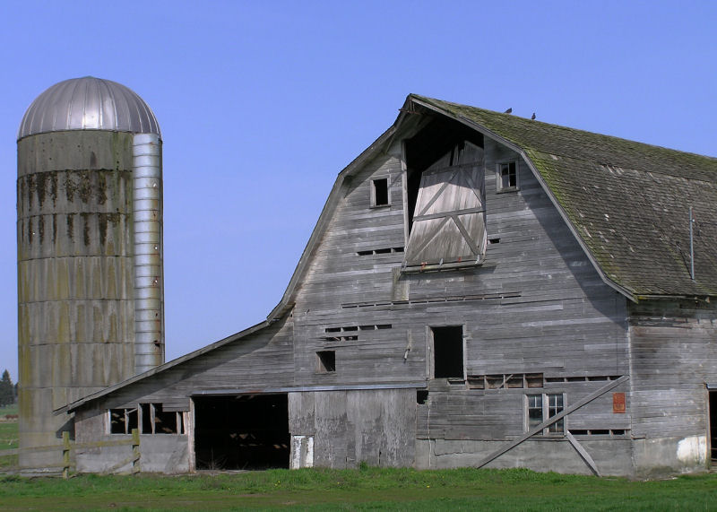 Lynden 7