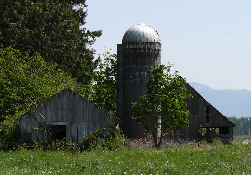 Sedro-Woolley Barn