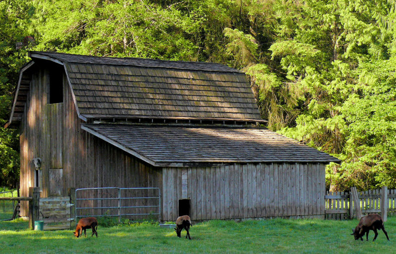 Snohomish County Barn