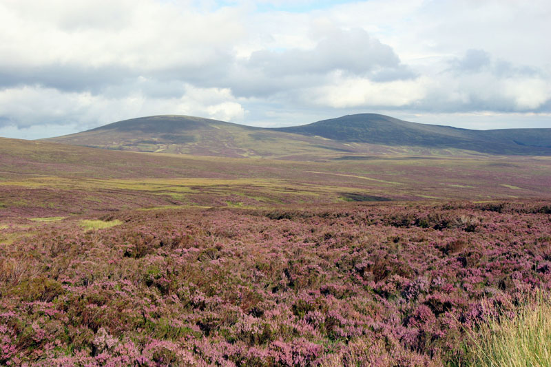 Panorama, Wicklow Way, County Wicklow