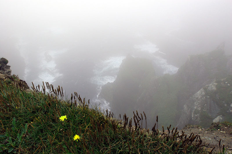 Cliff Panorama, Ring of Skellig, County Kerry