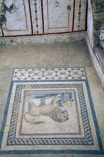 Mosaic & Mural, Terrace House, Ephesus, Turkey.