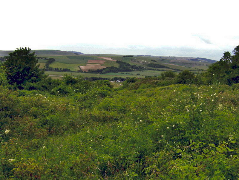 DOWNS VIEW FROM MILL HILL