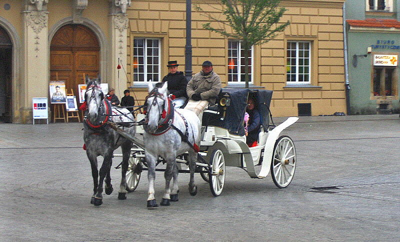 HORSE CARRIAGE RIDE
