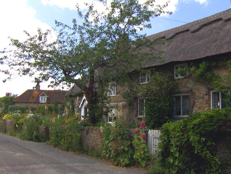 HOG LANE
