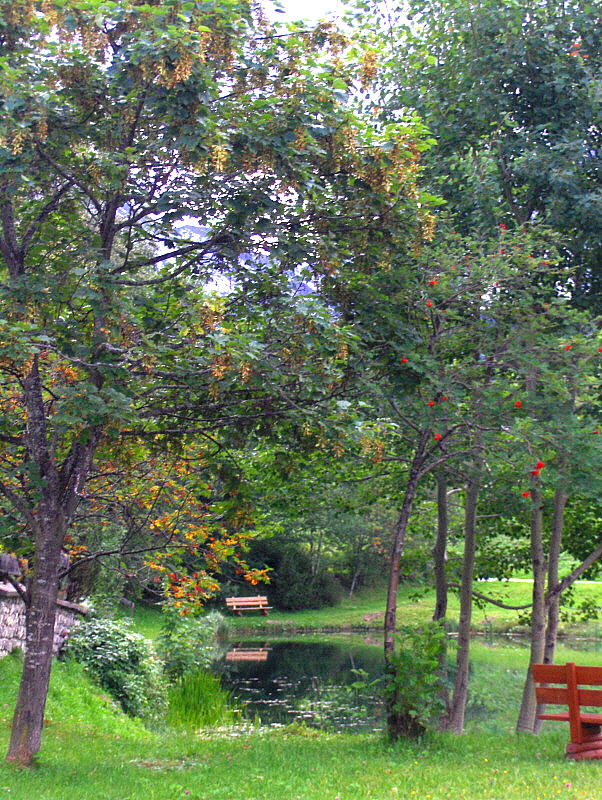 BY THE LAKE