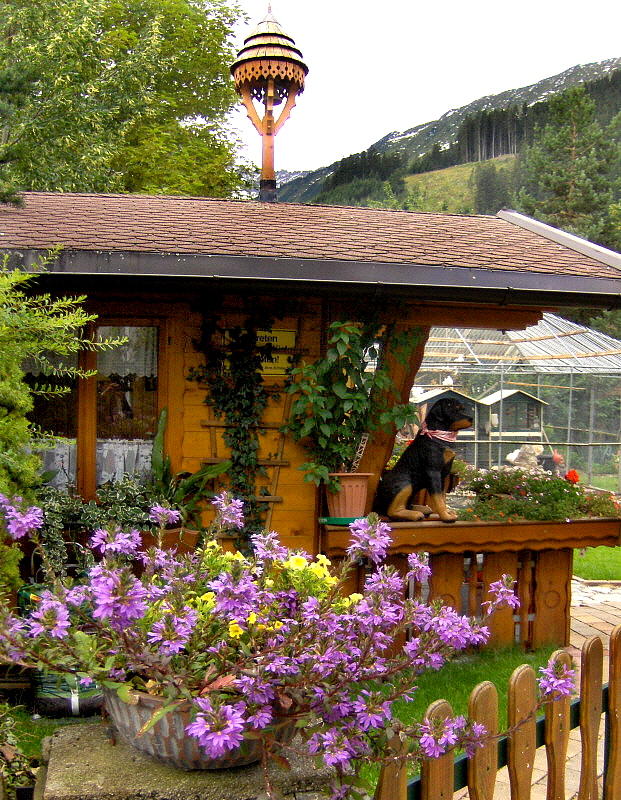PRETTY GARDEN SHED