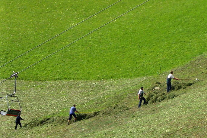 HAY GATHERING