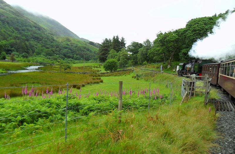 TRAIN AT BETWS GARMON