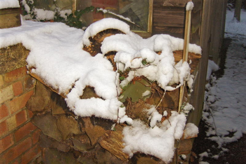 Logs by the shed