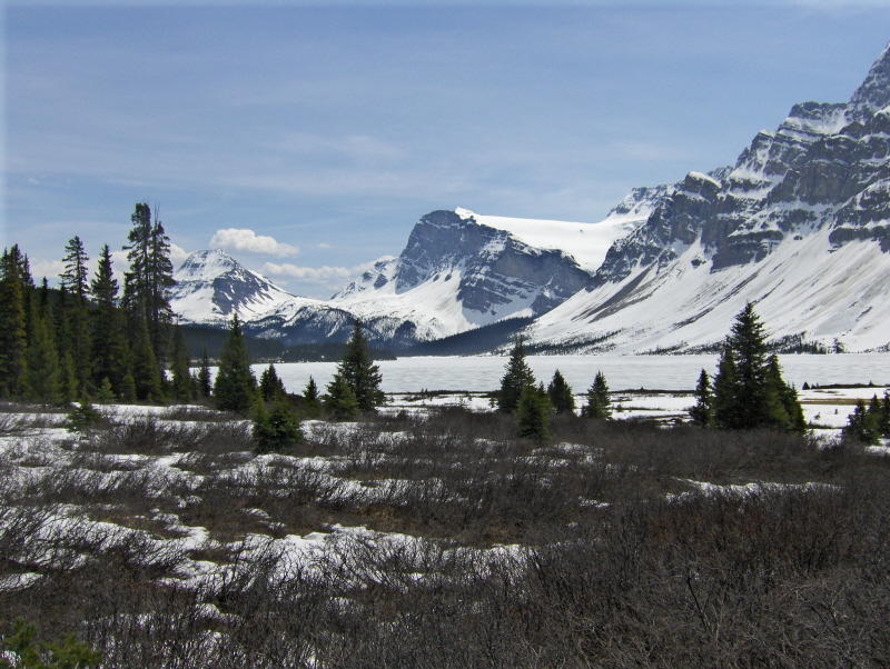 A FROZEN  PEYTO  LAKE   926