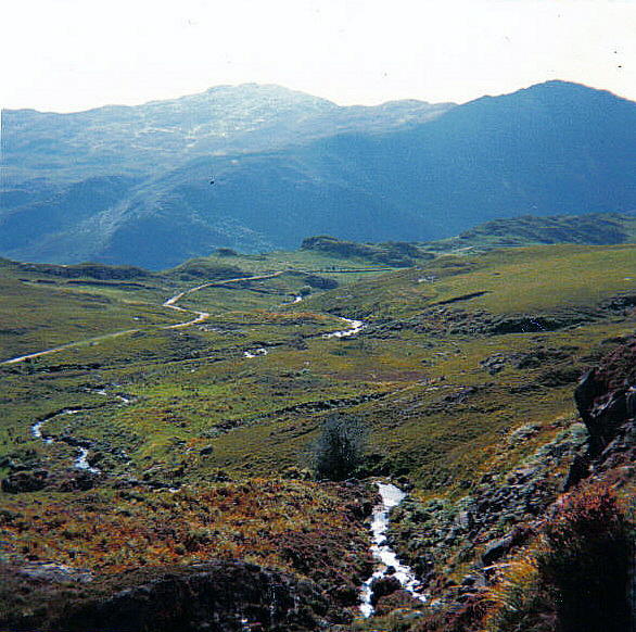 WALES - ABOVE BEDDEGELERT