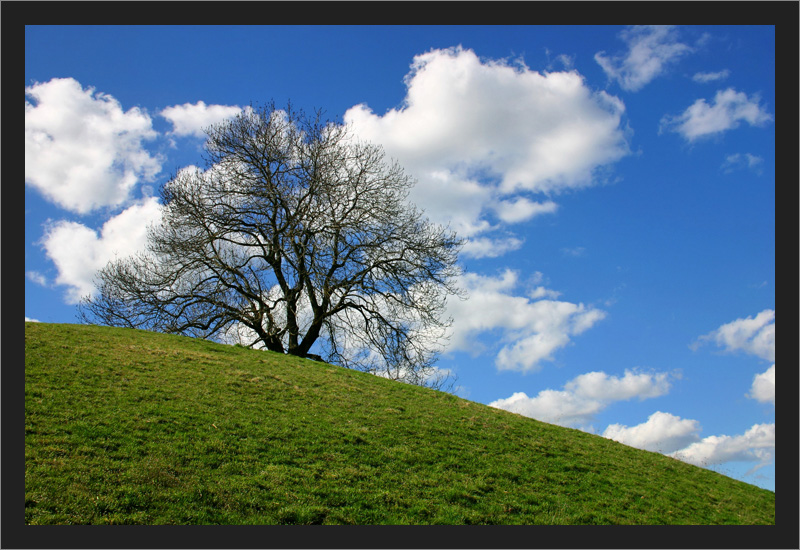 Windows XP