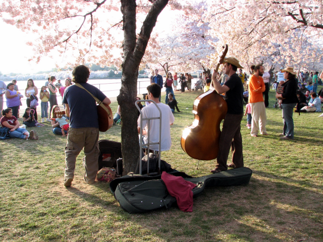 2006 Cherry Blossom Festival in Washington, D.C.