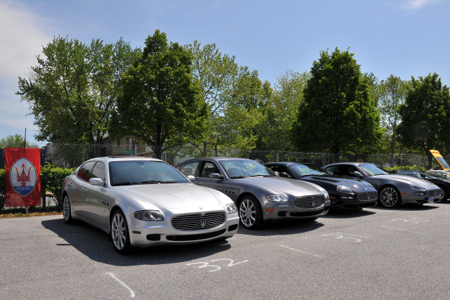 Maserati Quattroportes and GTs (8829)
