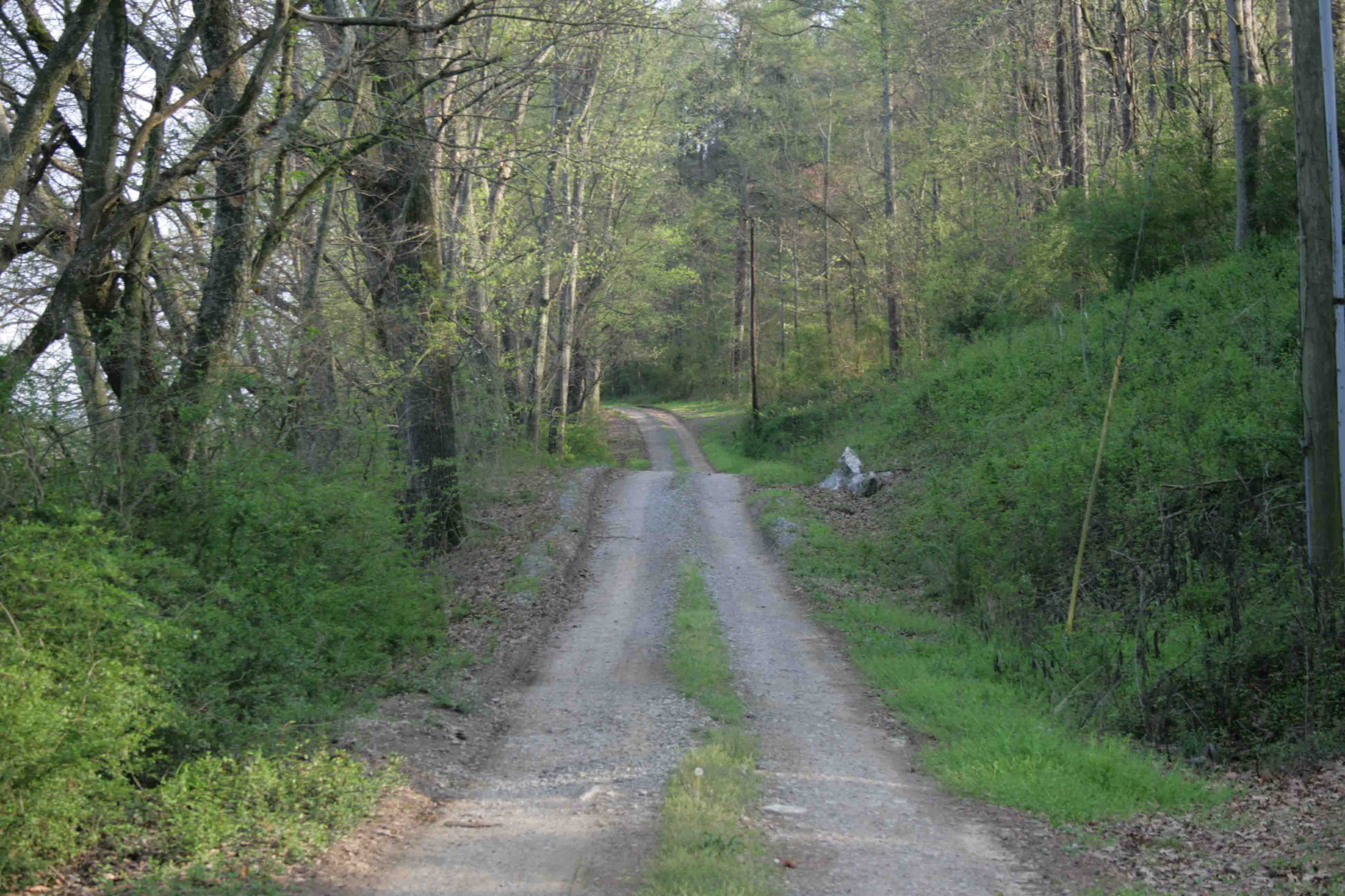 Pasture Road
