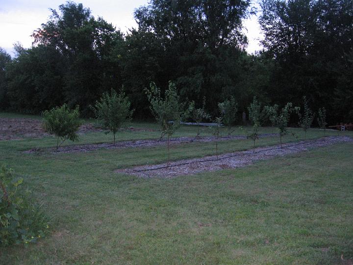 IMG_6055.JPG