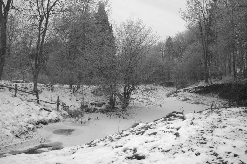 Frozen Stream