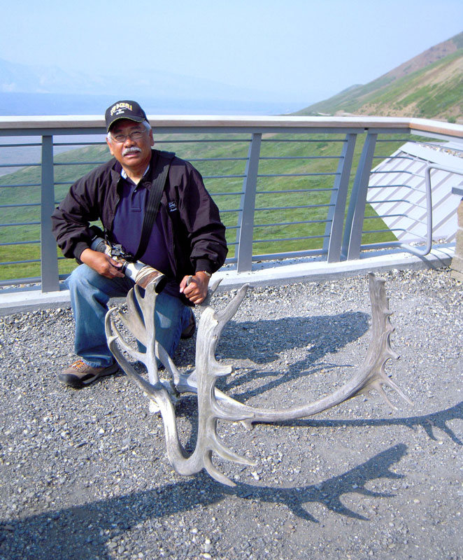 caribou antlers