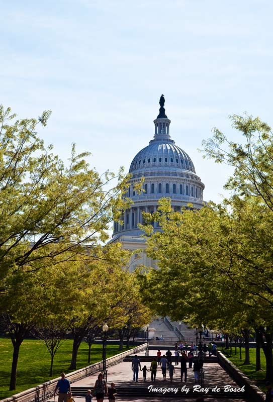 The Capitol