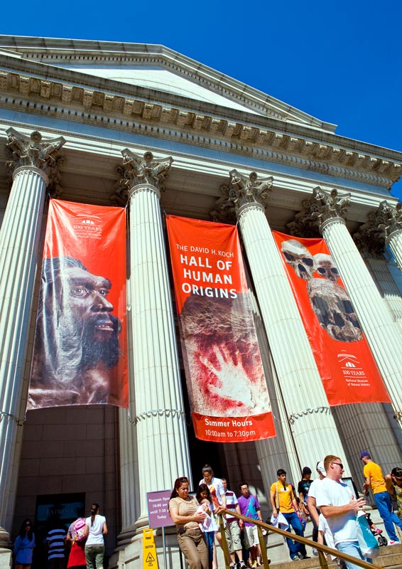 The Smithsonian Museum of Natural History