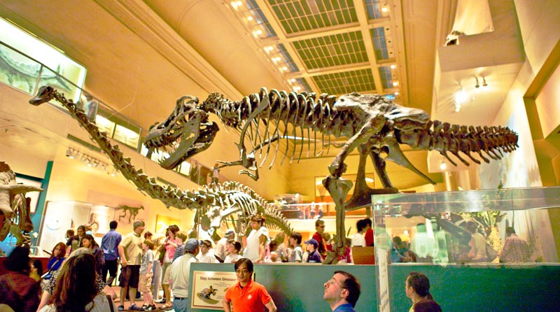 at Smithsonian Museum of Natural History