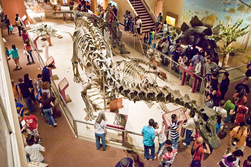at Smithsonian Museum of Natural History