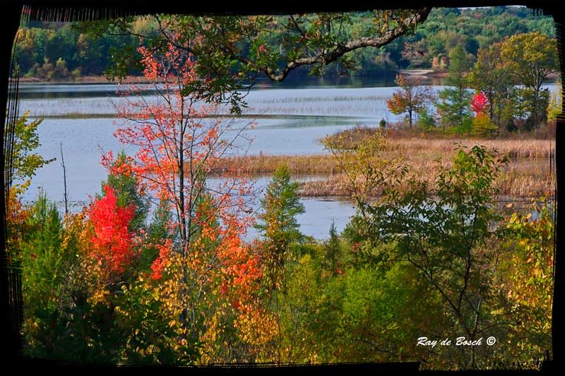 Fall scene in Waterloo, Michigan