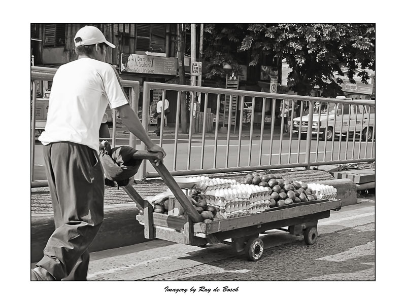 eggs transported via kareton