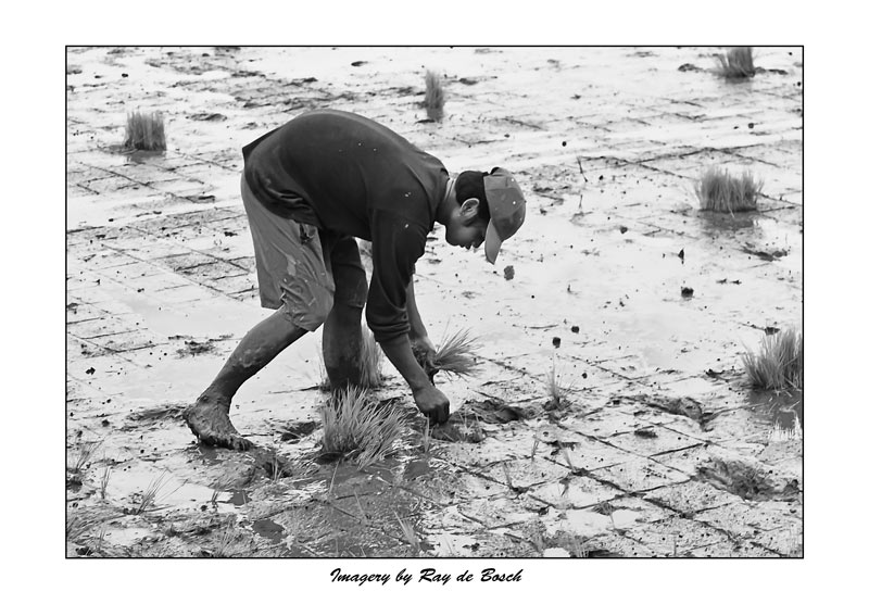 ...very hard work....there must be a better way...