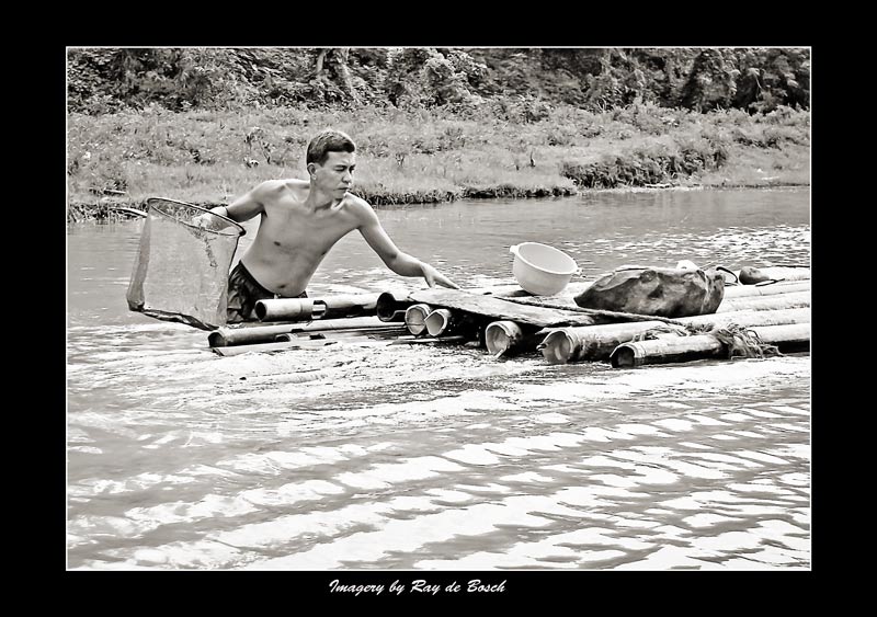 catching lunch...