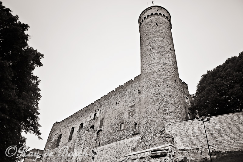 Toompea Castle is the seat of the Parliament of the Republic of Estonia - the Riigikogu.