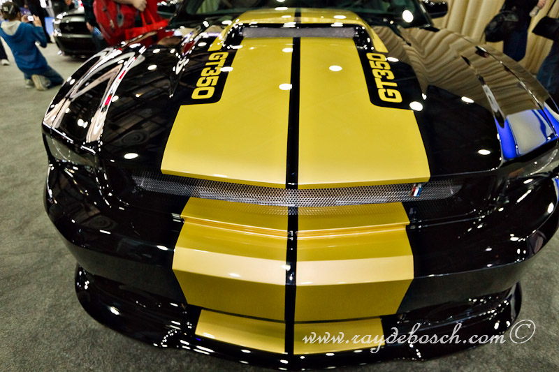 IMG_0314-Edit.jpg