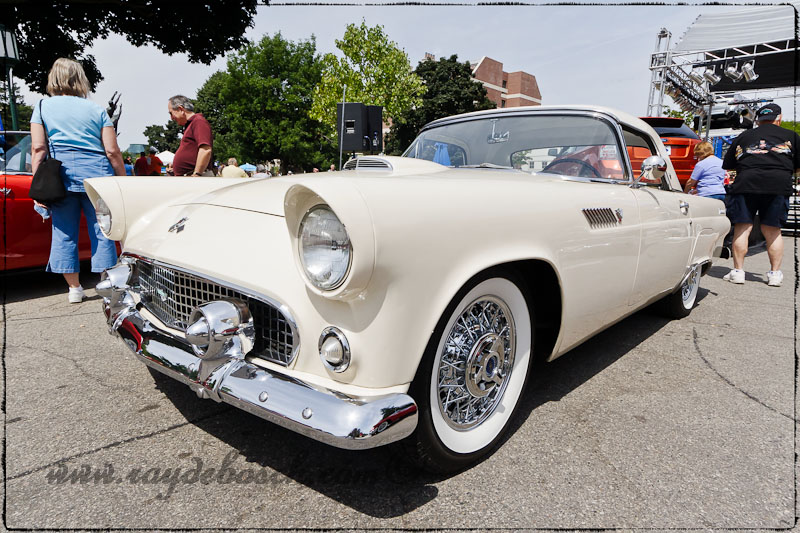 55 t bird for sale 55 t bird for sale