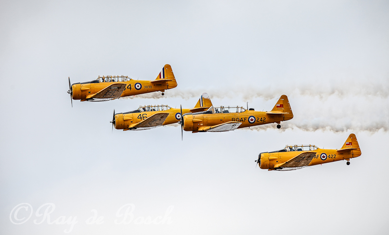 IMG_6443-Edit.jpg