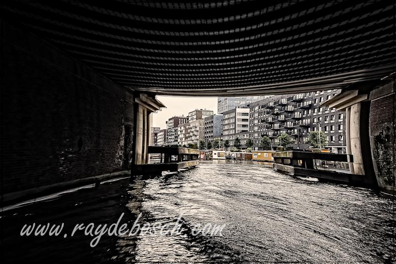 WE1A0475-Edit.jpg