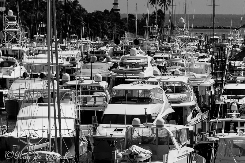 Miami traffic jam!