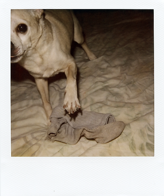 Kill the Sock