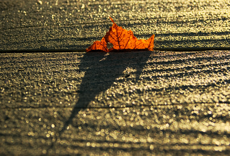 Golden Sunshine