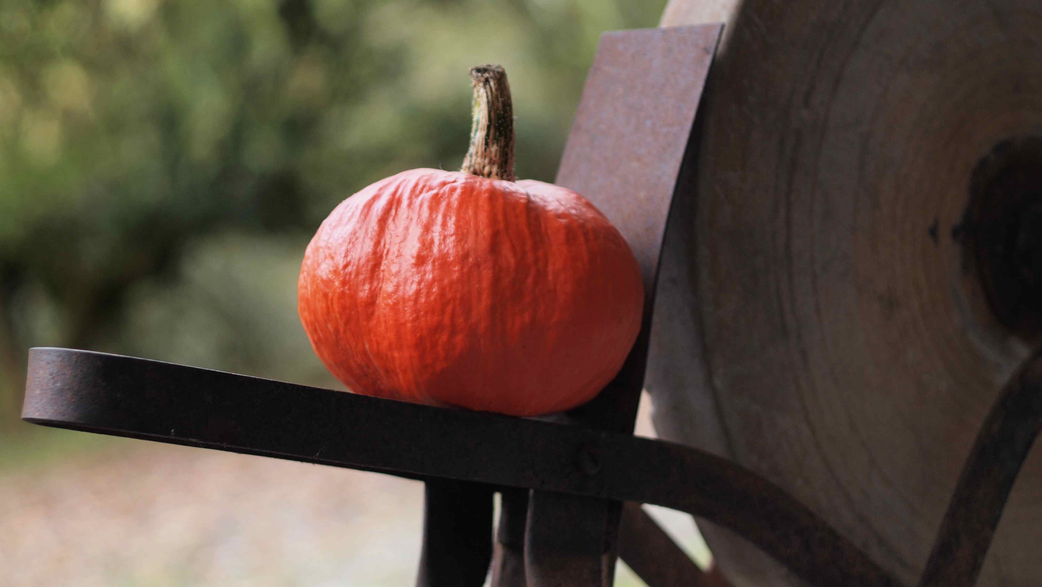 pumpkin photo with Canon manual FD lens on Olympus PL-2 body