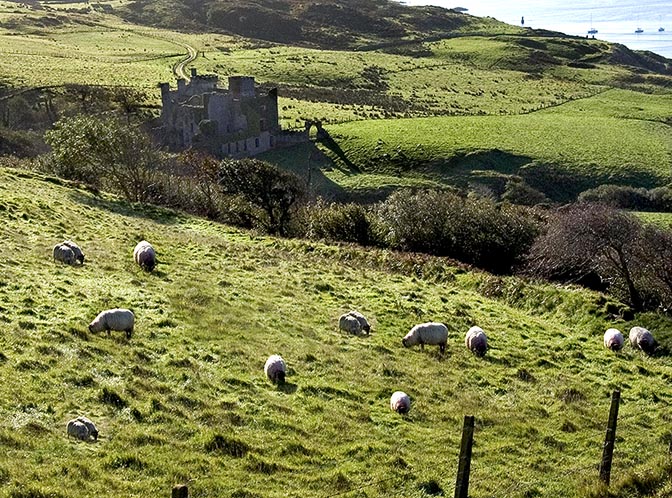 Cliffden Countryside