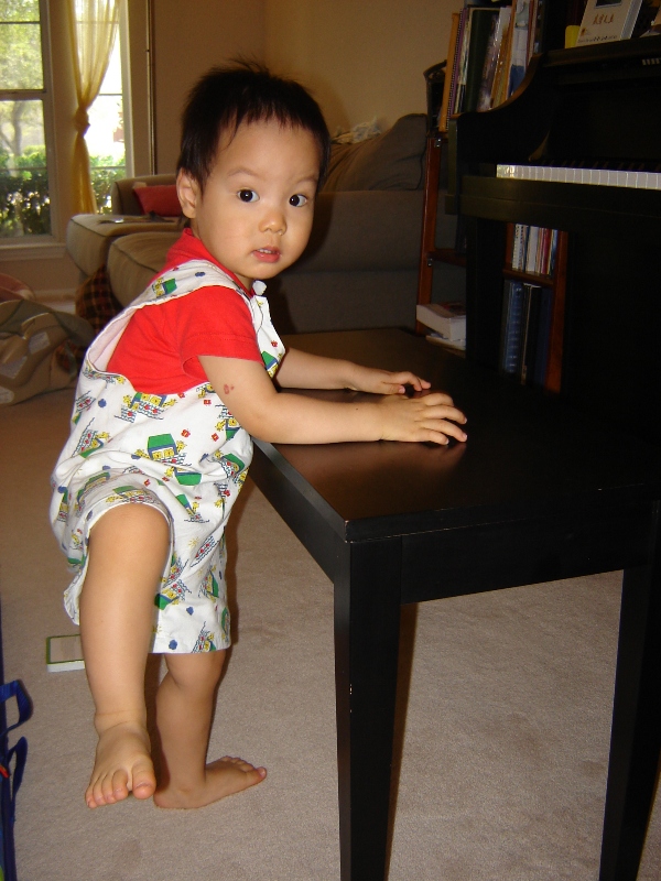 聚聚小紳士