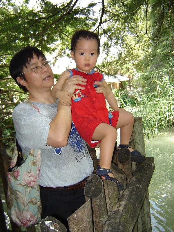 聚聚在 San Antonio 動物園裡看白鶴
