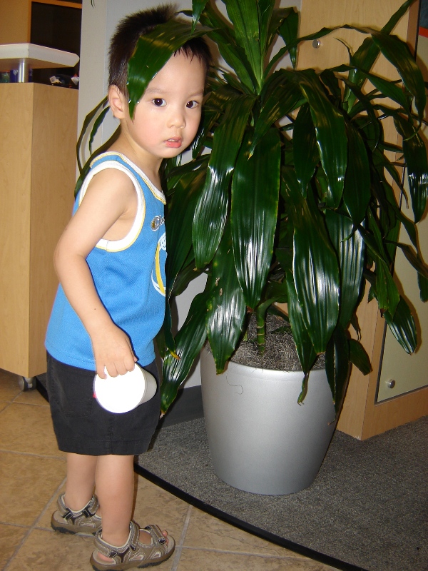 在銀行 lobby