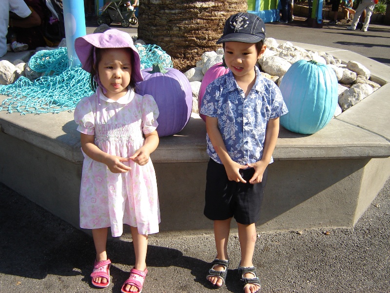 重遊海洋公園,玩得盡興