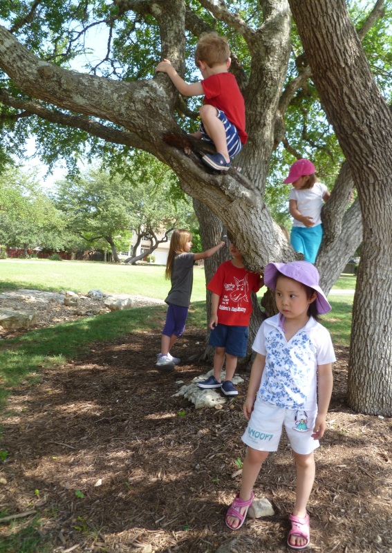 P1020214r.JPG